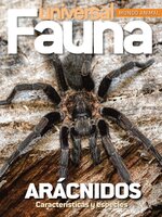 Fauna Universal